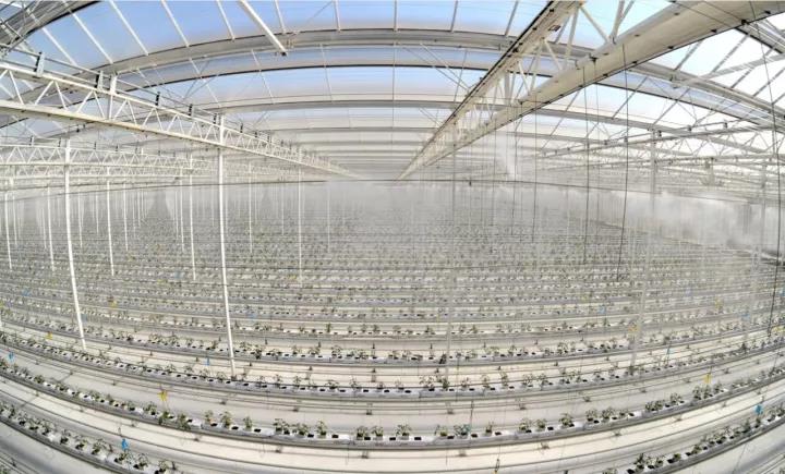 pg电子游戏试玩(中国游)官方网站-APP下载