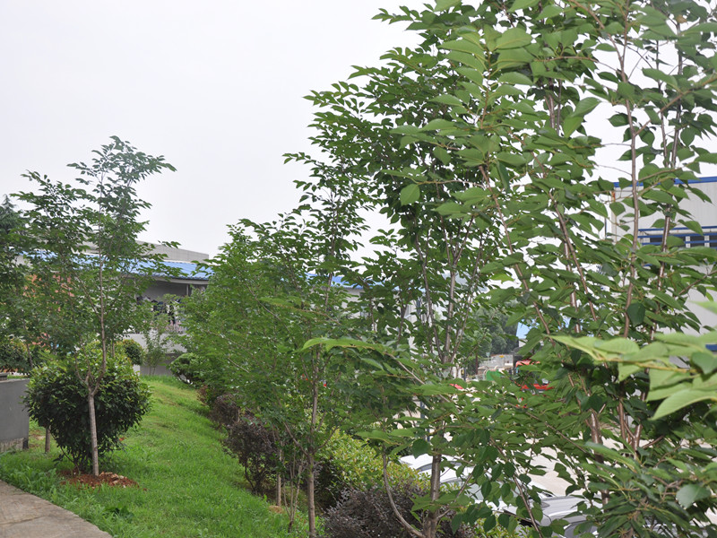 3868la天河总站(集团)股份有限公司 - Make It Possible