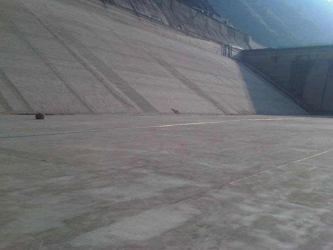 3868la天河总站(集团)股份有限公司 - Make It Possible