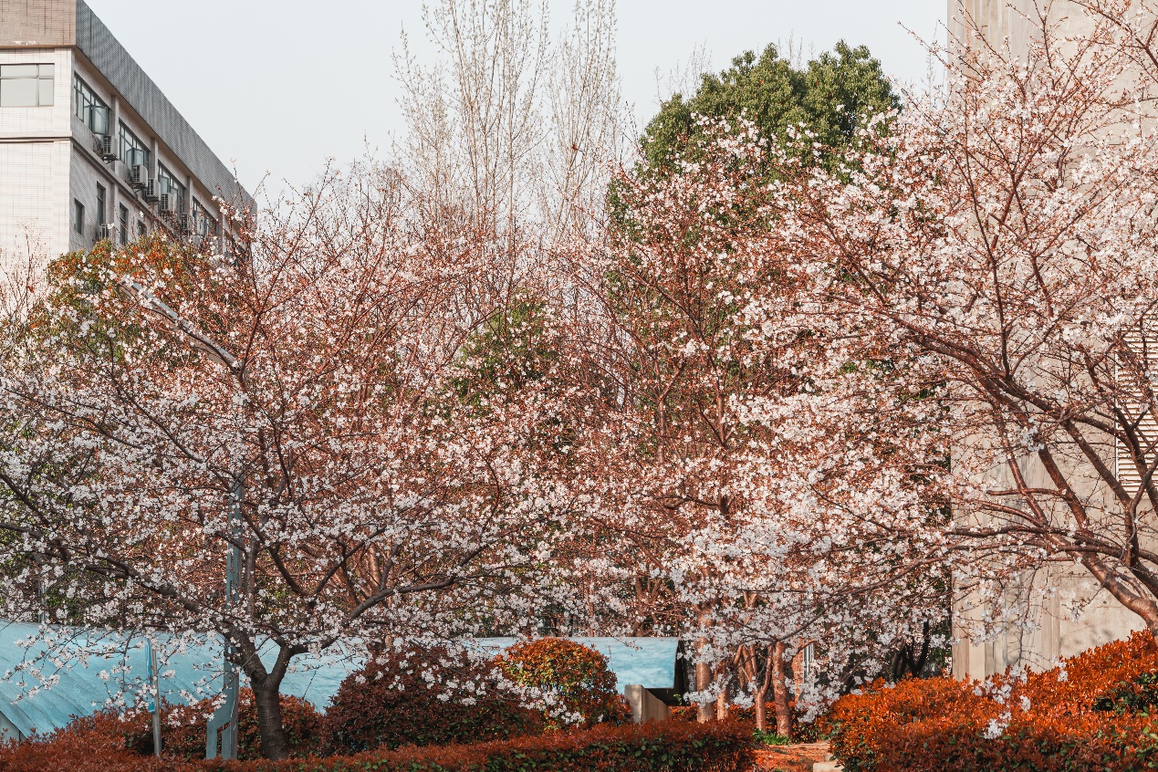 3868la天河总站(集团)股份有限公司 - Make It Possible