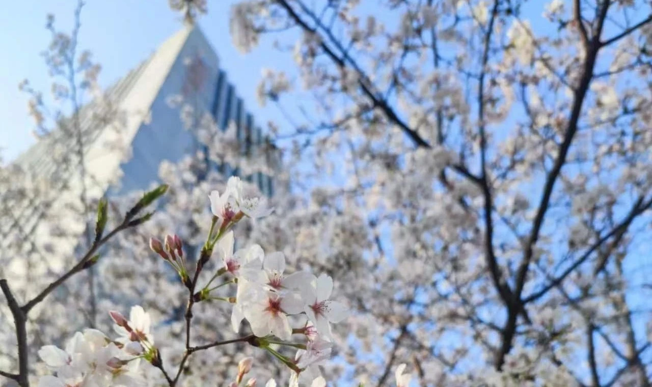 3868la天河总站(集团)股份有限公司 - Make It Possible