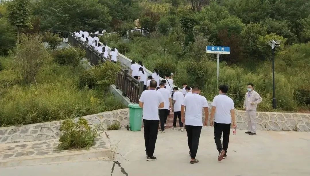 pg电子游戏试玩(中国游)官方网站-APP下载